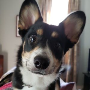 Meet your Posher, Grace